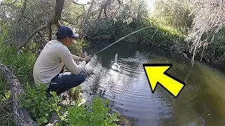 San Diego River Fishing -1VS1- Fly Fisherman VS Ultralight (CHALLENGE!)