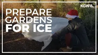 How to prepare your garden for cold, freezing temperatures