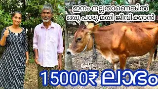 അബൂബക്കർ ഇക്കയുടെ അനുഭവത്തിൽ ഒരെണ്ണം മതി ജീവിക്കാൻ 🥰 @edapparambilfarms #cow