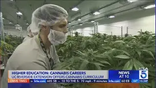 Higher Ed: UC Riverside helping students kickstart careers in cannabis