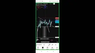 Overcoming obstacles and achieving success with RoyalQ bot