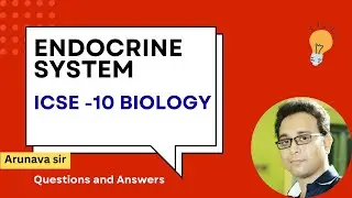 ICSE Class 10 Biology | Endocrine System Q&A 🔥 Board Exam Questions & Solutions (Must Watch)
