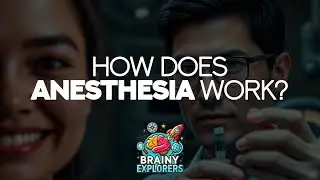 How Anesthesia Works: The Science Behind the Magic