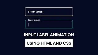 Input Label Animation HTML & CSS | Input Animation in HTML & CSS
