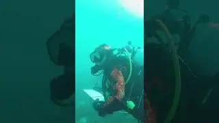 Why spending time underwater is crucial for good marine science