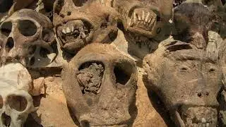 Cursed Haunted doll Forest - Top 5 Creepiest Unsolved Photo Mysteries