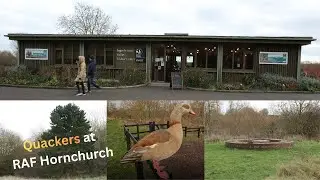 A Nature discovery tour at Ingrebourne Country Park Hornchurch