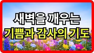 새벽을 깨우는 기쁨과 감사의 기도 | 아침 기도 | 감사 기도 | 기쁨의 기도 | 새벽기도