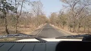 Sidhi forest sanjay national park sidhi dubari national park