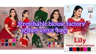 Stretchable blouse biggest godown 😱Stretchable blouse biggest godown 😱