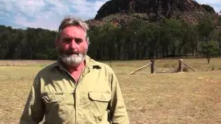 Wild dog management - how to work with a trapper