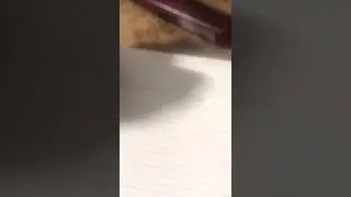 An electric explanation of gravity. Aka Electrogravitic Hypothesis