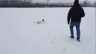 Das Plastic on Skis