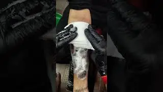 Radha Krishna #tattoo #radhakrishna #krishna #shortsfeed #viralshort #yt #trending #shorts #share