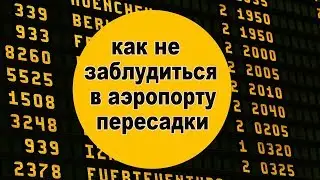 Транзит или пересадка в аэропорту  &ndash; как не заблудиться в  терминале на примере аэропорта Мюнхена
