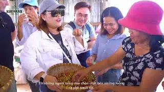 Du Lịch Khe Sanh - Khe Sanh Coffee Tour