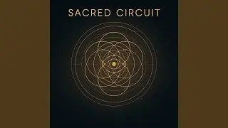 Magnetic Stillness