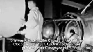 Laika