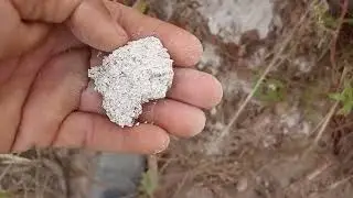 QUE TERRA BRANCA &Eacute; ESSA QUE AS FORMIGAS SA&Uacute;VAS TIRAM AO CAVAR BURACOS NA TERRA? DIA A DIA NA RO&Ccedil;A
