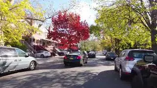 Autumn On Streets. Осень на улицах.