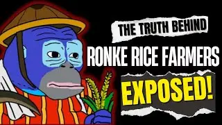 Ronke Rice Farmers: Legit Opportunity or Pyramid Risk?