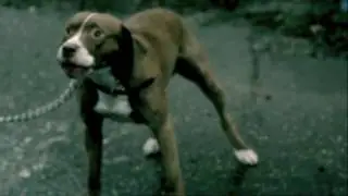 The Ruskins - Old Isleworth (OFFICIAL EXPLICIT VERSION)