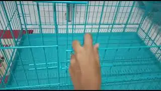 Medium Size Dog Cage- Rs.4500