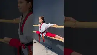 Taekwondo/Rozciąganie/Sztuki walki