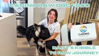 CANINO RAW DOG FOOD - From Kibble to Raw