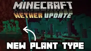 New 1.16 Minecraft Nether Update Information & New Official Screenshot- Minecraft News