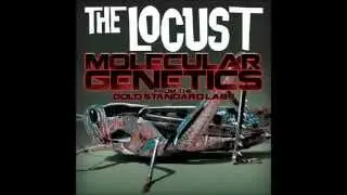 How To Become A Virgin [REMASTERED] (HQ) (with lyrics) - The Locust