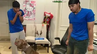 YourRage’s Dog Creed PRESSES Arky & Yugi...