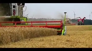 Wielkie Żniwa 2015 | 5 x Lexion | 5 x New Holland | Big Harvest in Poland
