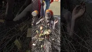 #shorts कांटे वाले बाबा #mahakumbh  में वापस #video #kante #Wale #baba