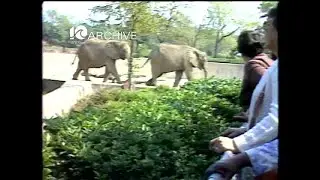 WAVY Archive: 1982 Norfolk Lafeyette Zoo Tour by the Visually Impaired