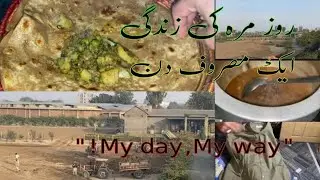 “DAILY ROUTINE/ A Busy Day”