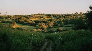 a playlist for moving softly through a quiet life