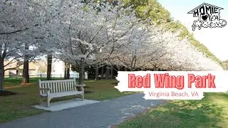 A Day at the Park| Red Wing Park, VA Beach Virginia