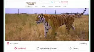 MOREMITO (help animals) MITOCHONDRIA NANOTECH BREAKTHROUGH (join us) TOP TEAM ROB BUSER