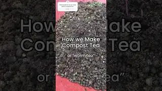 Jumpstart your garden with EASY diy compost tea!        #composttea #wormtea #gardening #compost
