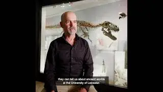 Fossils after dark | British Science Festival 2022