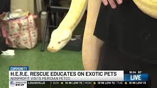 H.E.R.E. Rescue breaks out exotic animals at Petco
