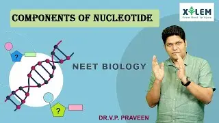 BIOMOLECULES | COMPONENTS OF NUCLEOTIDE | BIOLOGY | NEET 2021 |XYLEM LEARNING