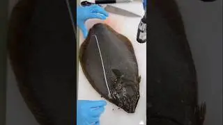 The Most Unique Fish Cutting Technique Of Japan 🐠