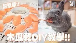 【侑敏yomin】教你超簡單木瓜乾DIY！兔寶寶吃的敲開心❤️／兔寶寶餵食秀EP2