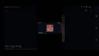 the Lego thing 