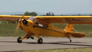 Piper Cub, NC3644N taxiing at KHWY on 051510 at 1329