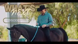 Bareback Riding - WN | 006