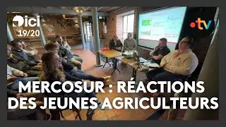 Mercosur : colère et inquiétude des jeunes agriculteurs après la signature de l'accord au Paraguay