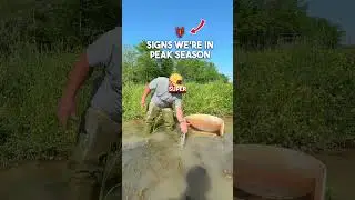 CRAWFISH SEASON EDUCATION